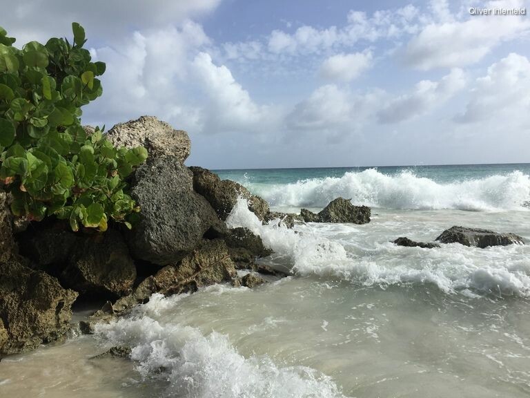 5m0ygovou_rectangle-768x768-0x0-0x0