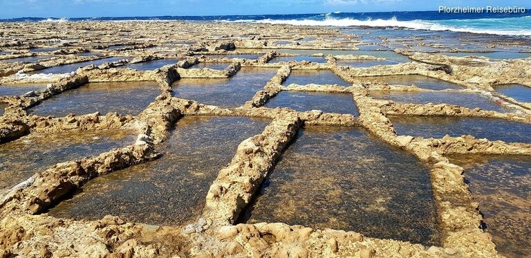 5jhl0lnb3_rectangle-768x768-0x0-0x0