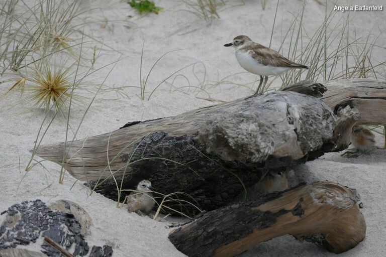 5dorm5d8k_rectangle-768x768-0x0-0x0