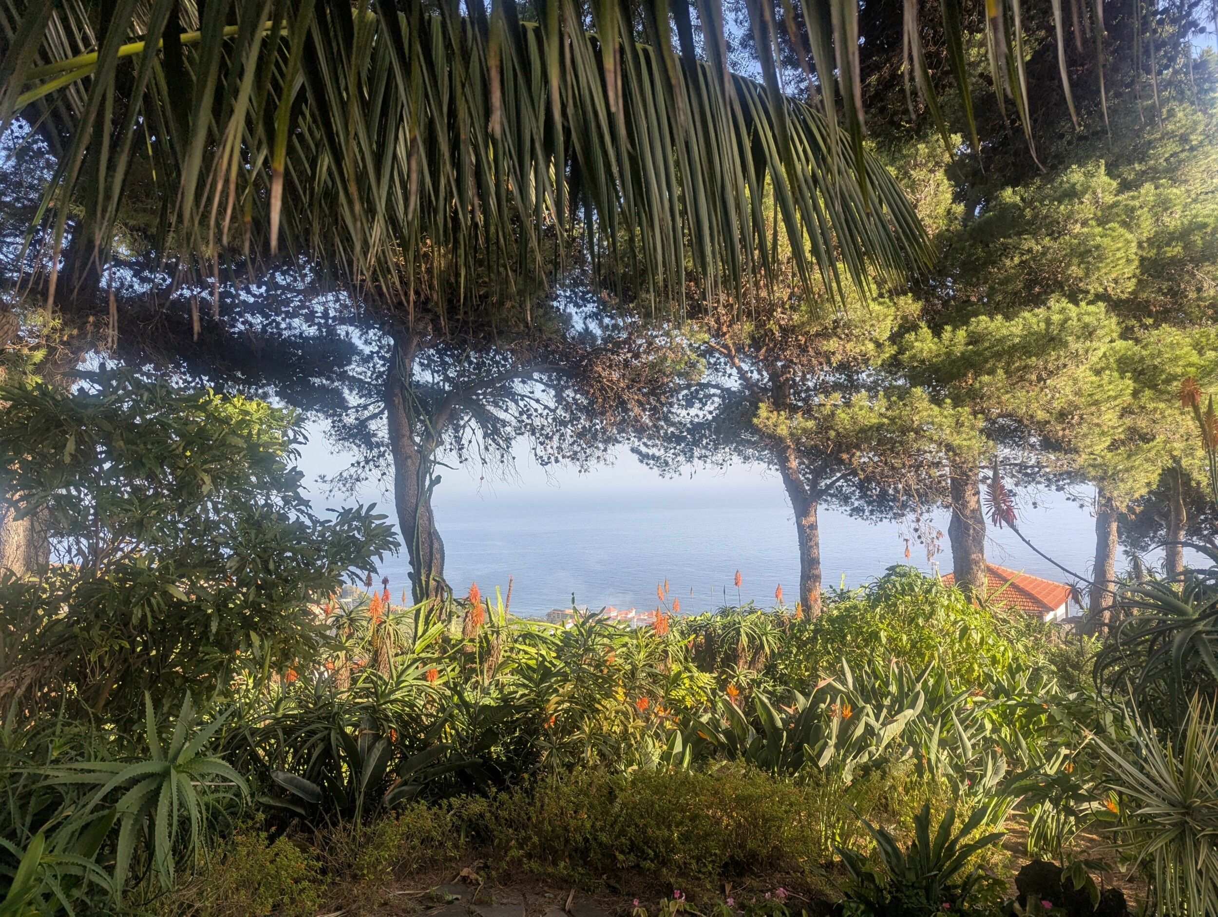 PXL_20241130_160537099.MP(Bildrecht_Rischar)