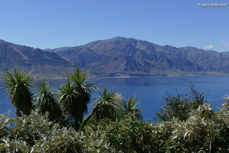 5dorl3hb5_rectangle-768x768-0x0-0x0