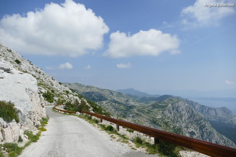 5c56ewixw_rectangle-768x768-0x0-0x0