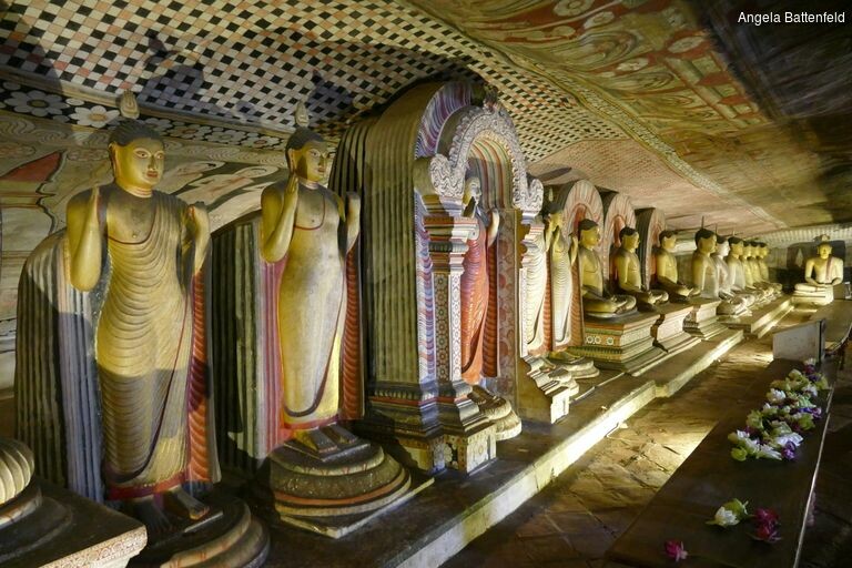 5a52tym8c_rectangle-768x768-0x0-0x0