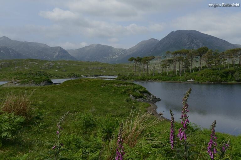 5788oc4pp_rectangle-768x768-0x0-0x0