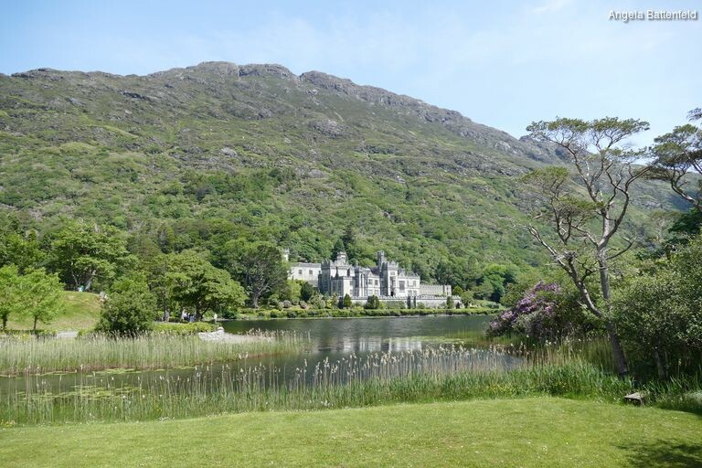 5788m0emb_rectangle-768x768-0x0-0x0