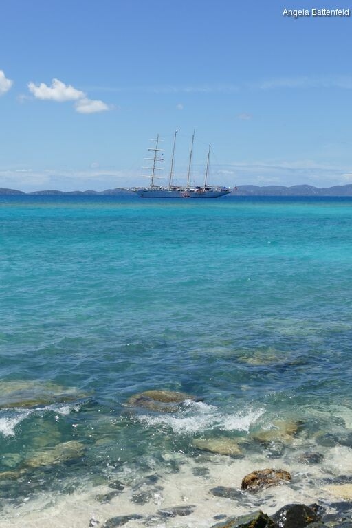 starflyer2015032_rectangle-768x768-0x0-0x0