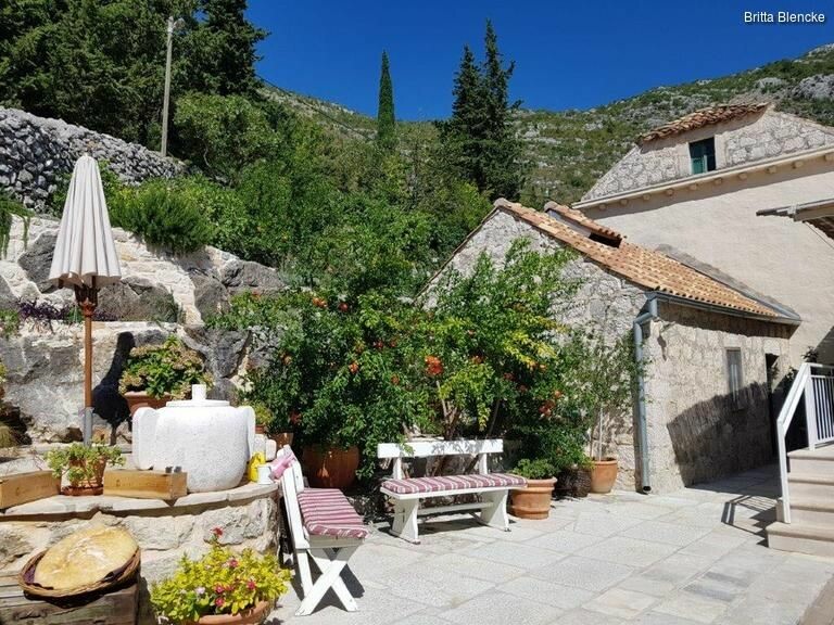 5ktn7wby0_rectangle-768x768-0x0-0x0