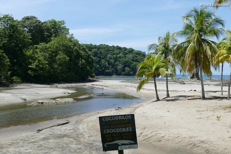 5khb1z7la_rectangle-768x768-0x0-0x0