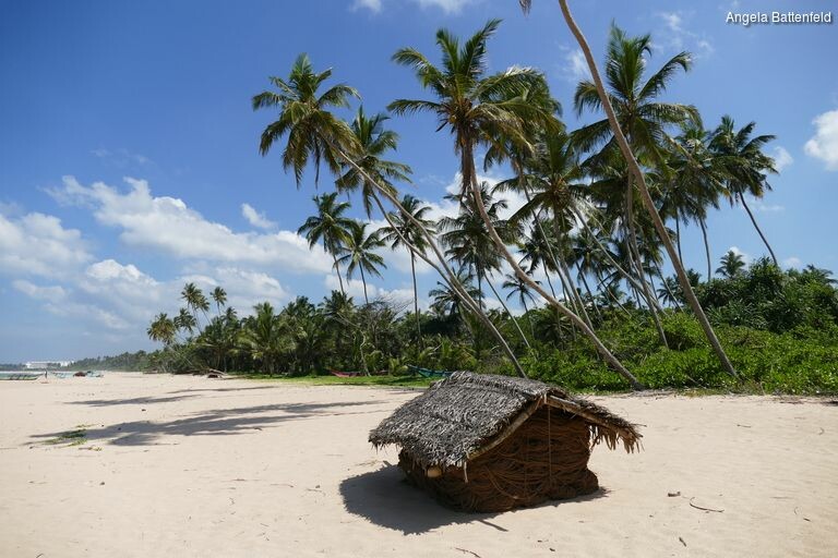 5a52xhqo1_rectangle-768x768-0x0-0x0