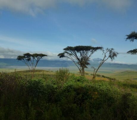 tansania_zanzibar_2013_106_-_kopie