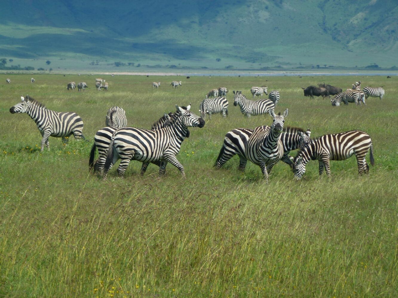 Tansania_Zanzibar_2013_126