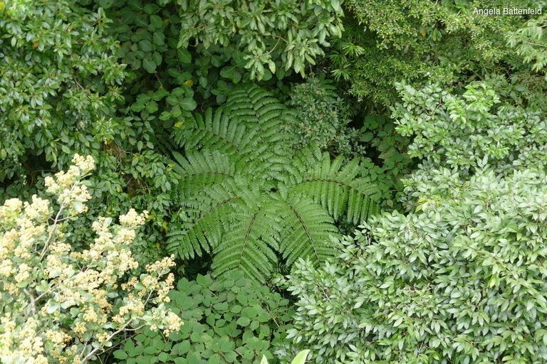 5khb1vvri_rectangle-768x768-0x0-0x0