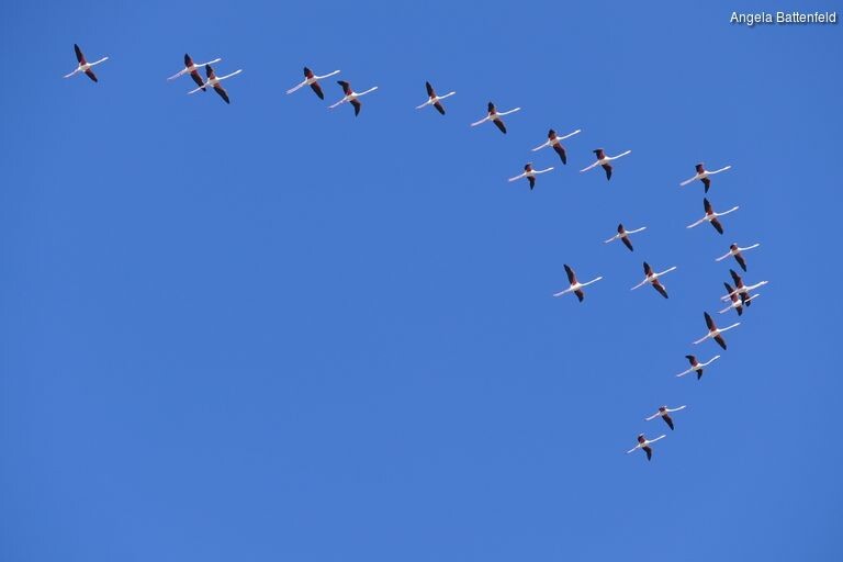 532moiuwh_rectangle-768x768-0x0-0x0