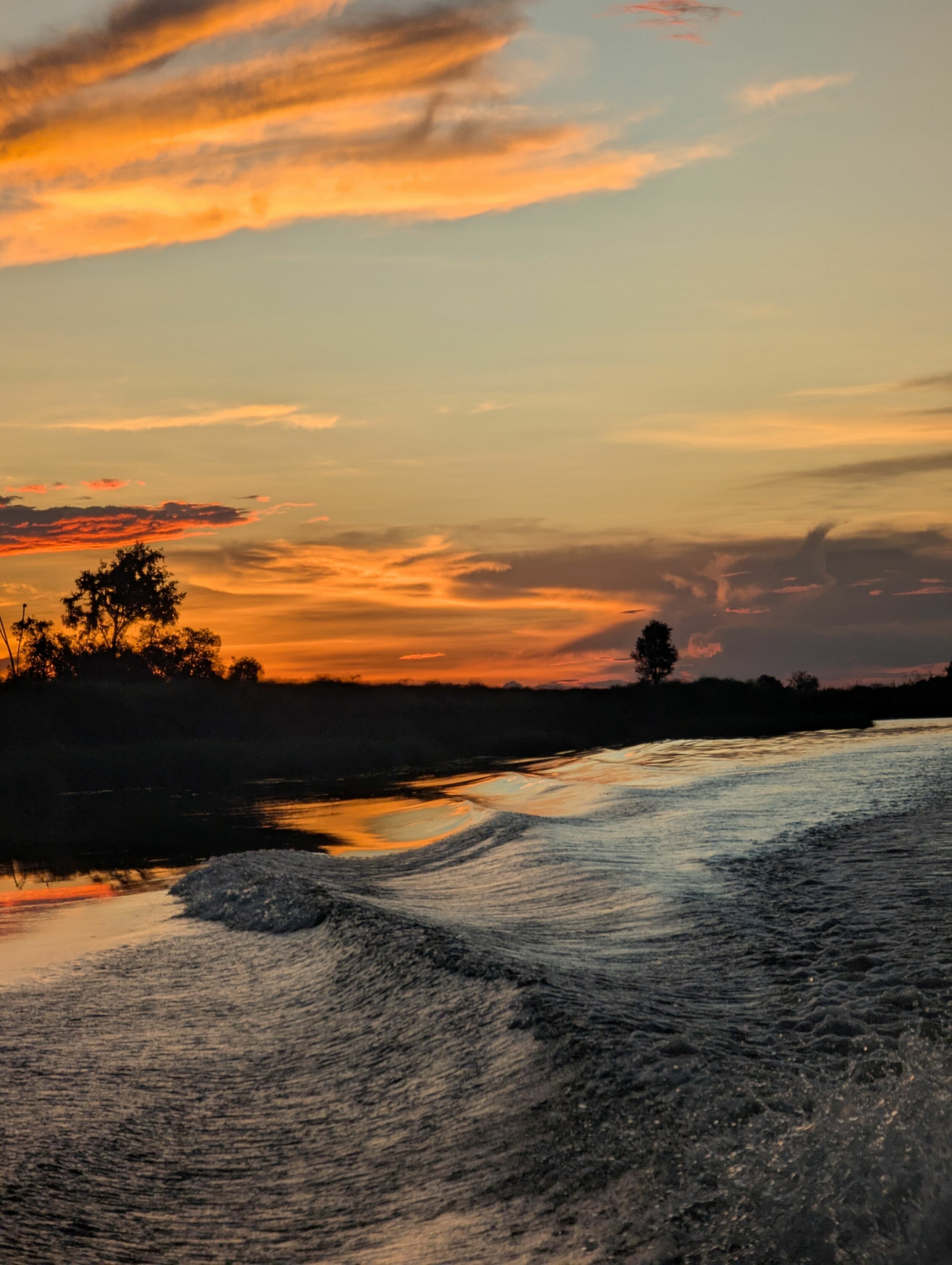 PXL_20250313_165139736