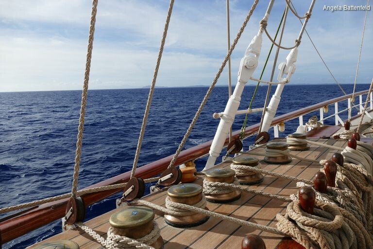 starflyer2015018_rectangle-768x768-0x0-0x0