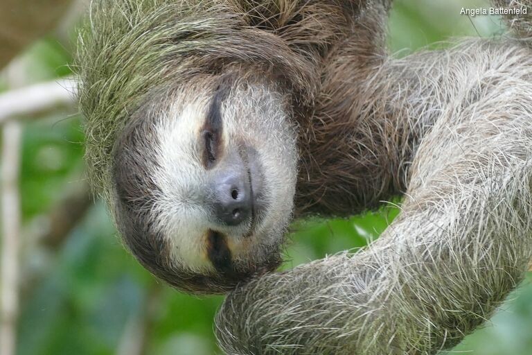 5khb0peme_rectangle-768x768-0x0-0x0