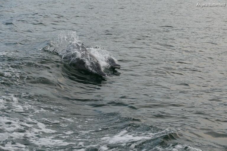 5hrag5x0u_rectangle-768x768-0x0-0x0