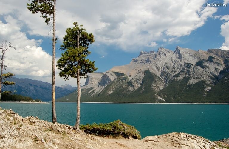 53uezdqnt_rectangle-768x768-0x0-0x0