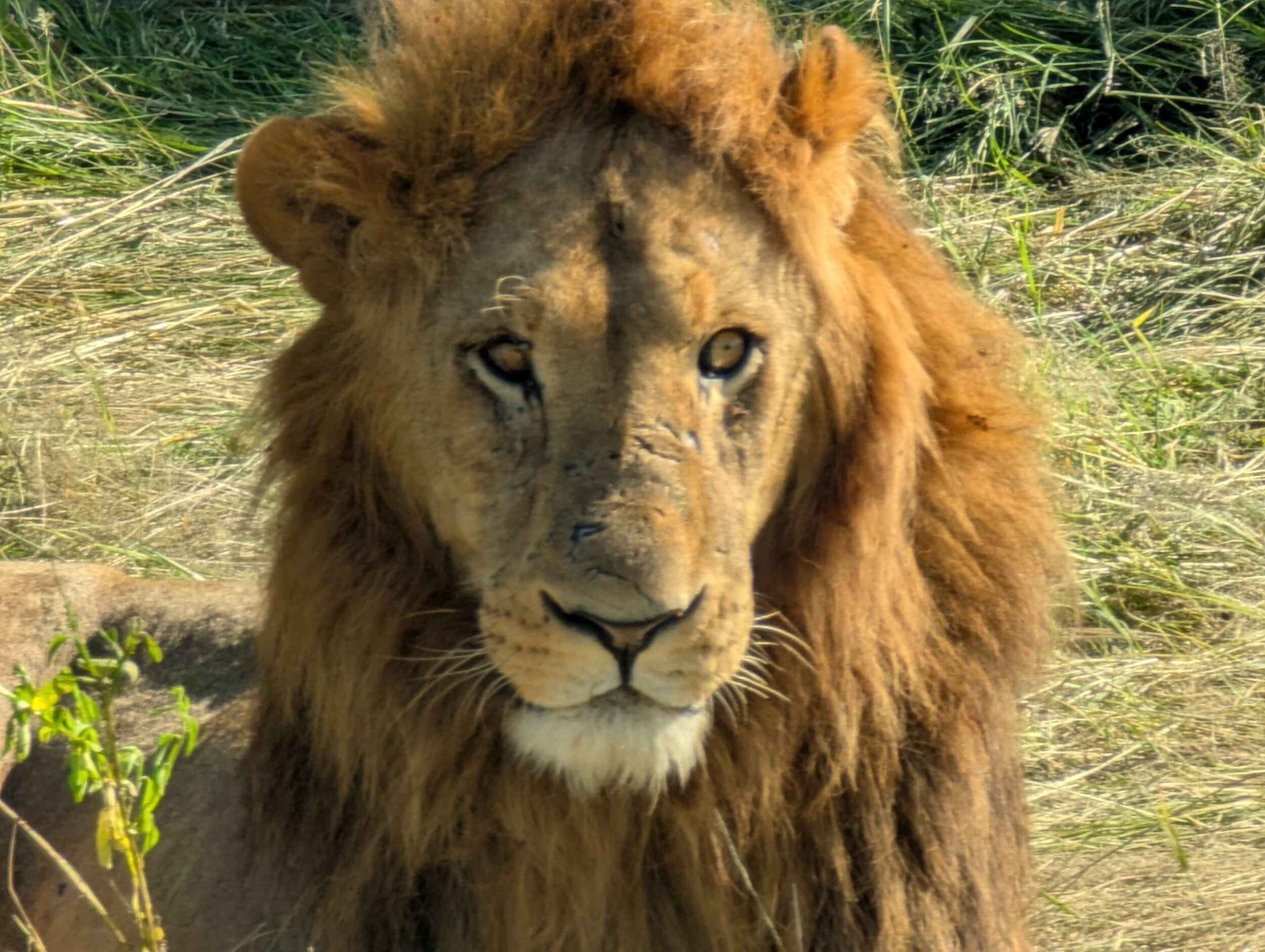 PXL_20250315_065021242