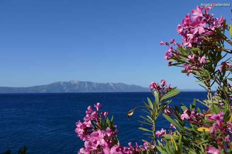 5c56ez71i_rectangle-768x768-0x0-0x0