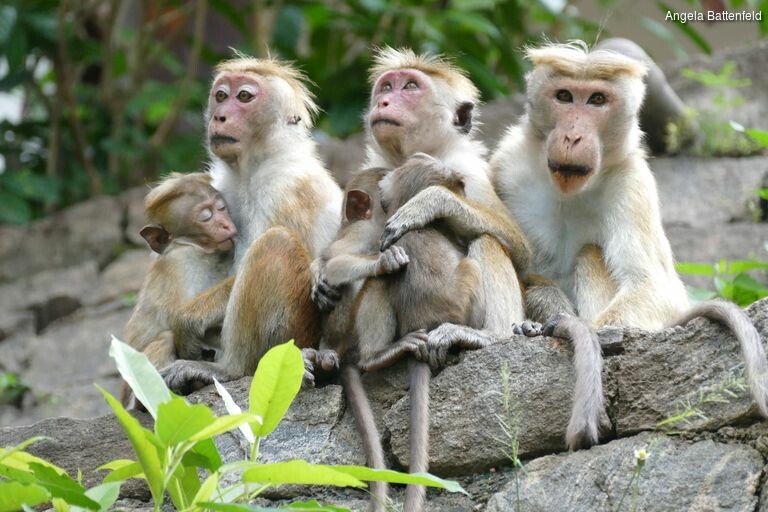 5a533gg9h_rectangle-768x768-0x0-0x0