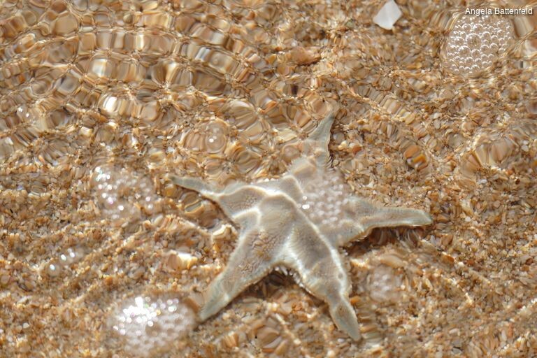 532mrg4ij_rectangle-768x768-0x0-0x0