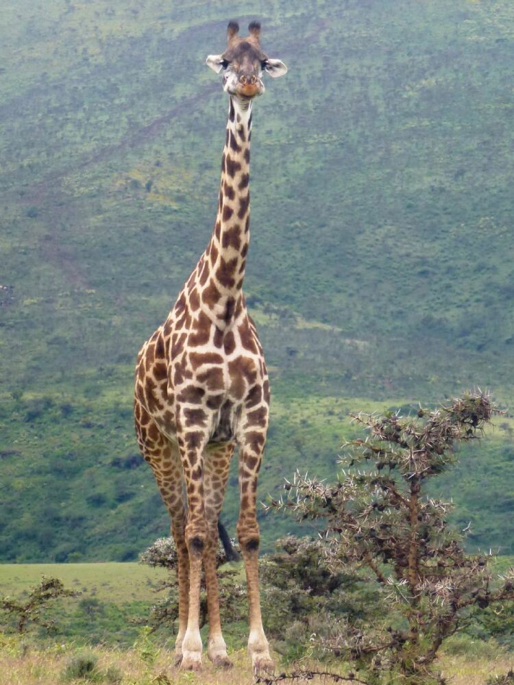 Tansania_Zanzibar_2013_205a