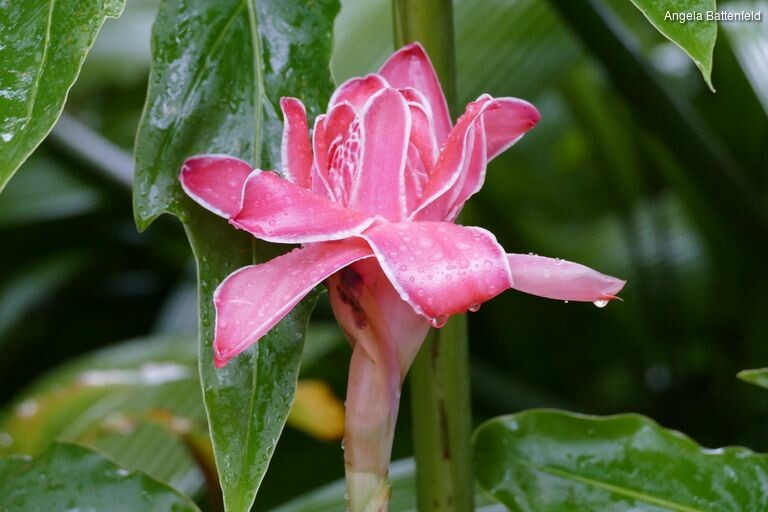 5khb1mehg_rectangle-768x768-0x0-0x0