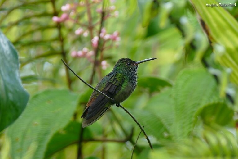 5khb1rxos_rectangle-768x768-0x0-0x0