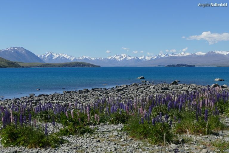 5dorkgrrv_rectangle-768x768-0x0-0x0