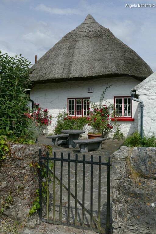 5788m4pg4_rectangle-768x768-0x0-0x0