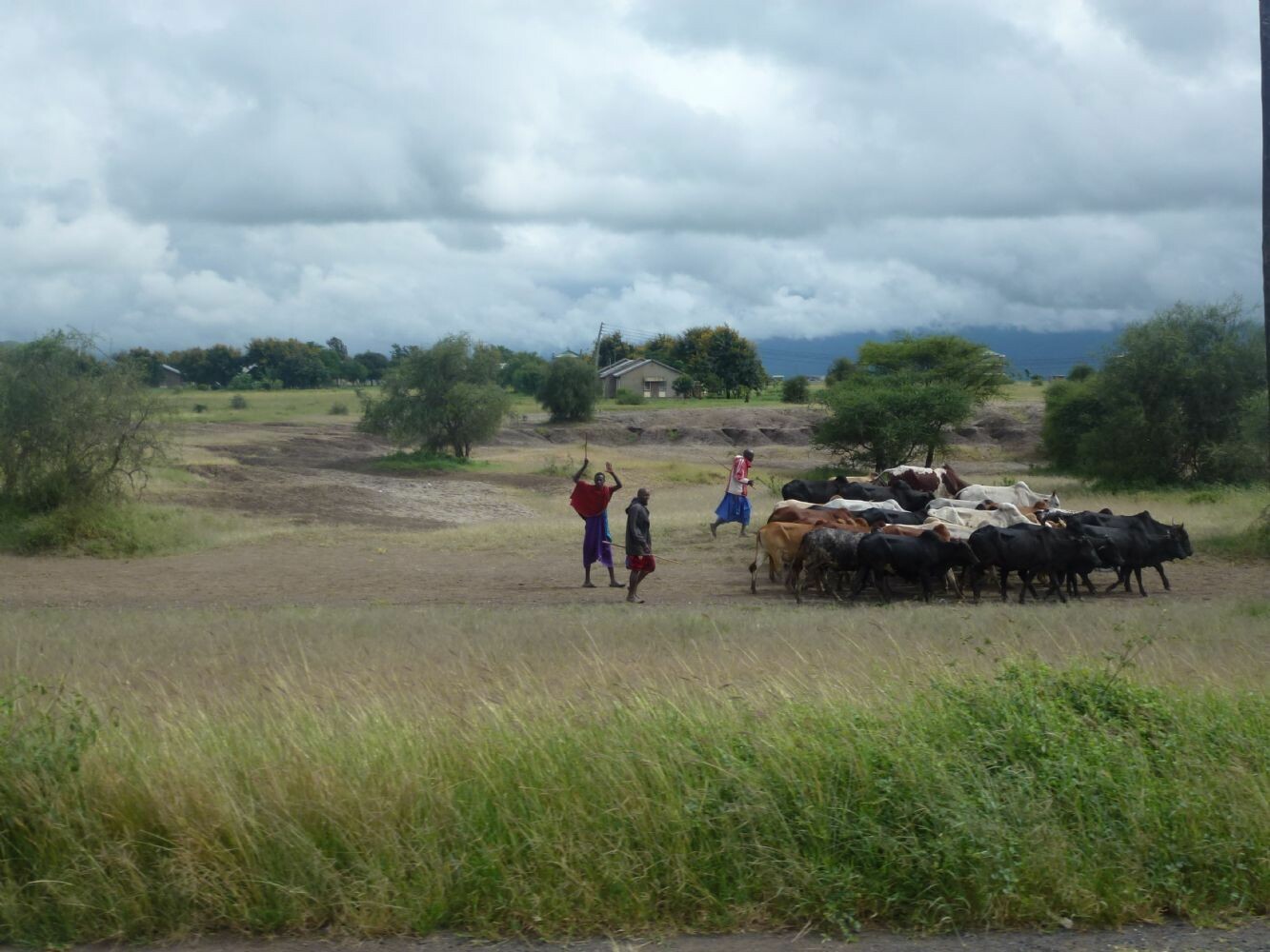 Tansania_Zanzibar_2013_014_-_Kopie