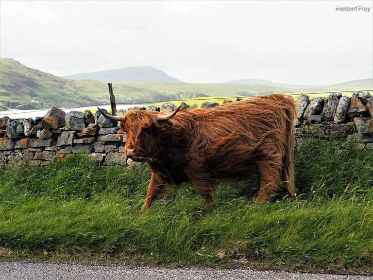 5jhn09eko_rectangle-768x768-0x0-0x0