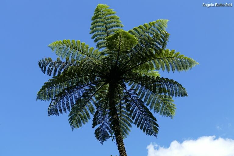 5dorl9d0t_rectangle-768x768-0x0-0x0