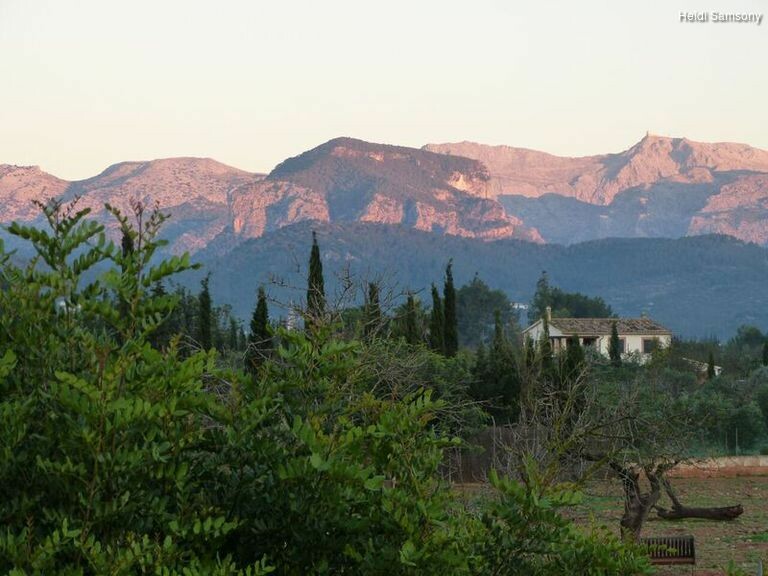 58v2toquc_rectangle-768x768-0x0-0x0