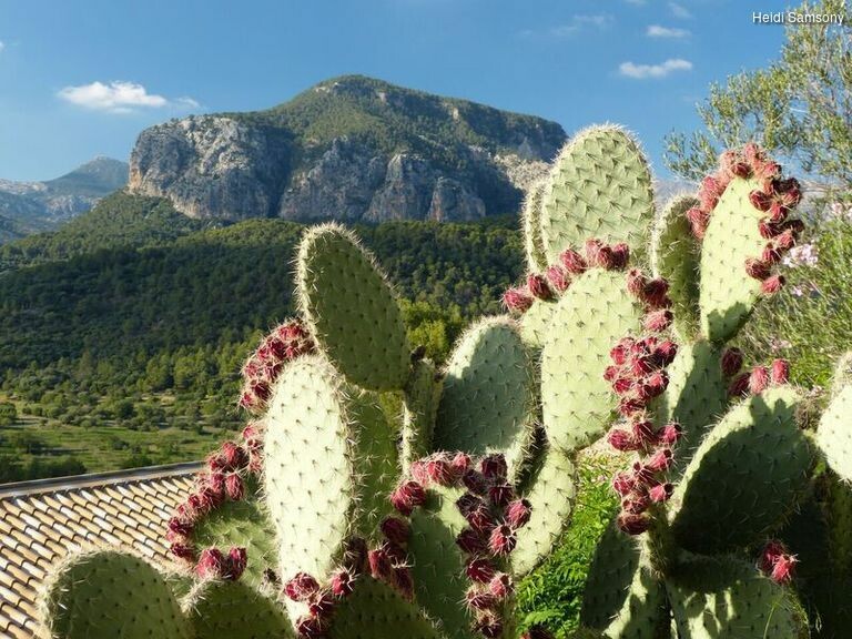 58v2tsegr_rectangle-768x768-0x0-0x0