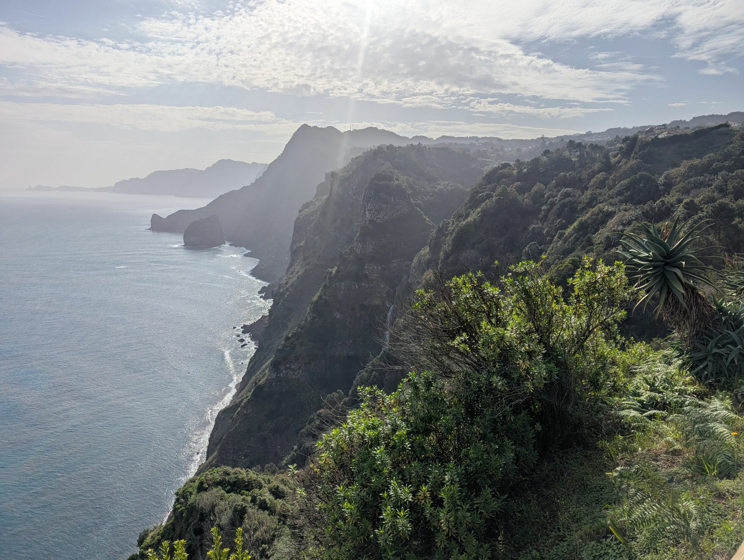 PXL_20241130_105737646(Bildrecht_Rischar)