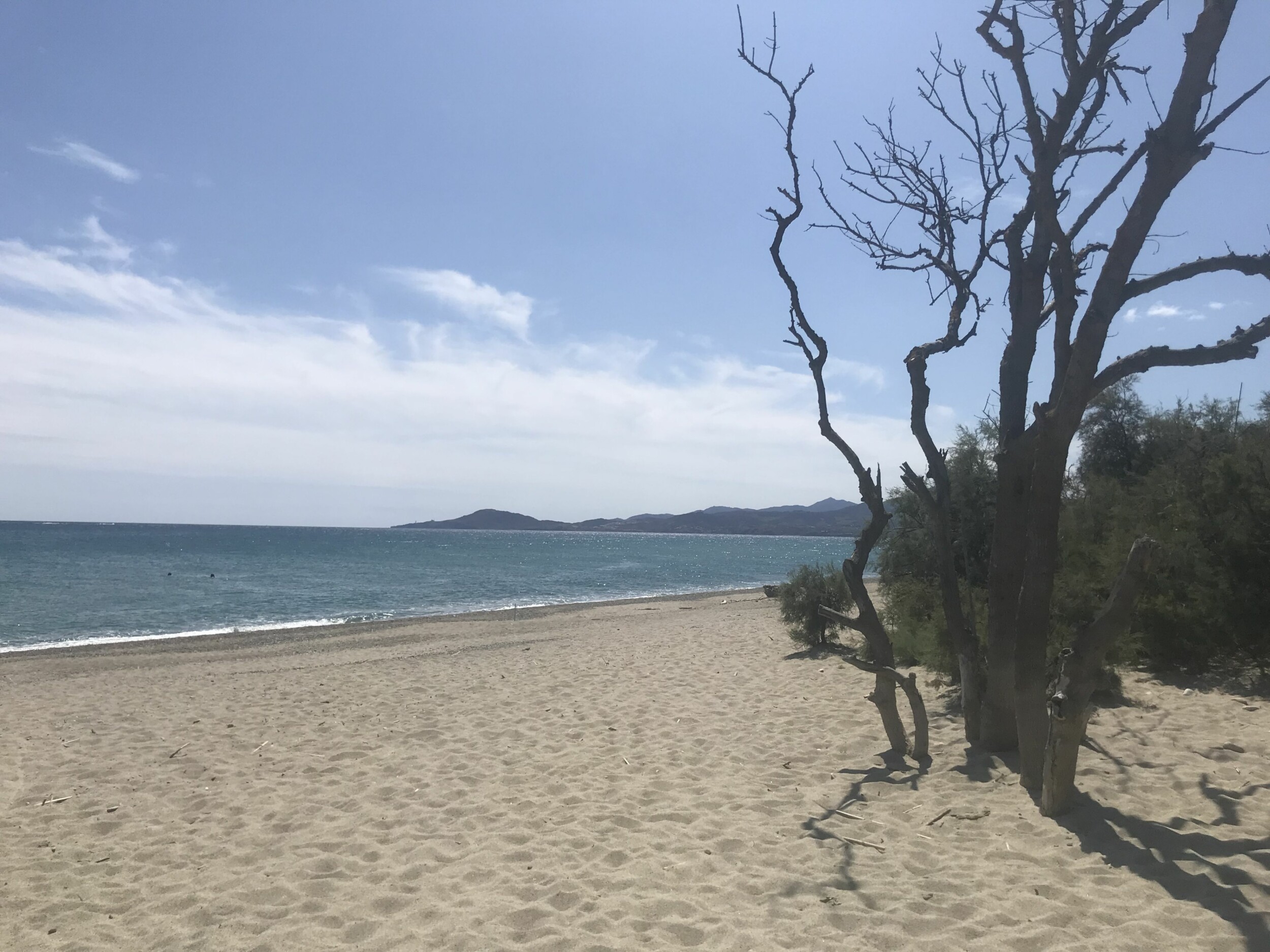 8717B204-E768-400D-BDE4-DC783BC09A0D