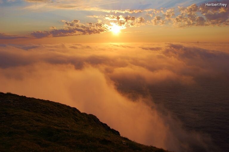 5aoibnzlp_rectangle-768x768-0x0-0x0