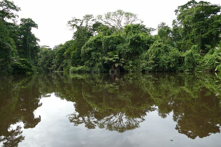 5khb0w626_rectangle-768x768-0x0-0x0