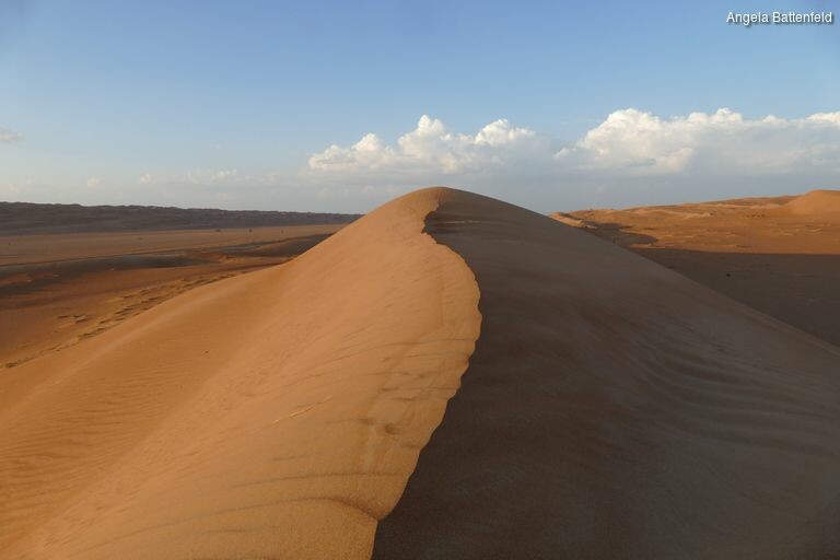 5hrafrj6i_rectangle-768x768-0x0-0x0