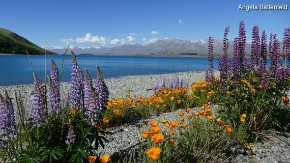 5dorkhtm6_rectangle-570x320-391x794-5472x3648_1